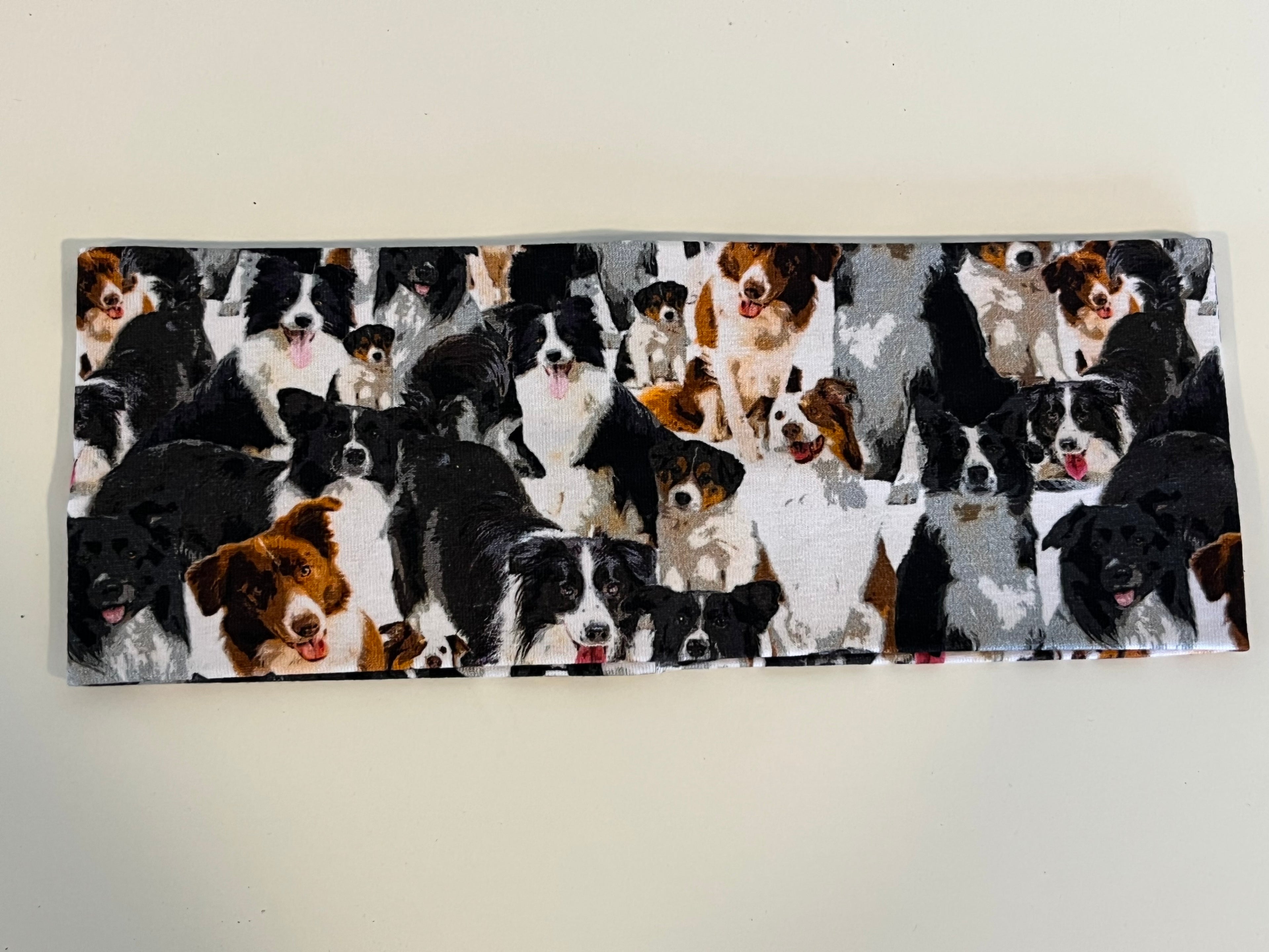 Pannebånd voksen, hunder