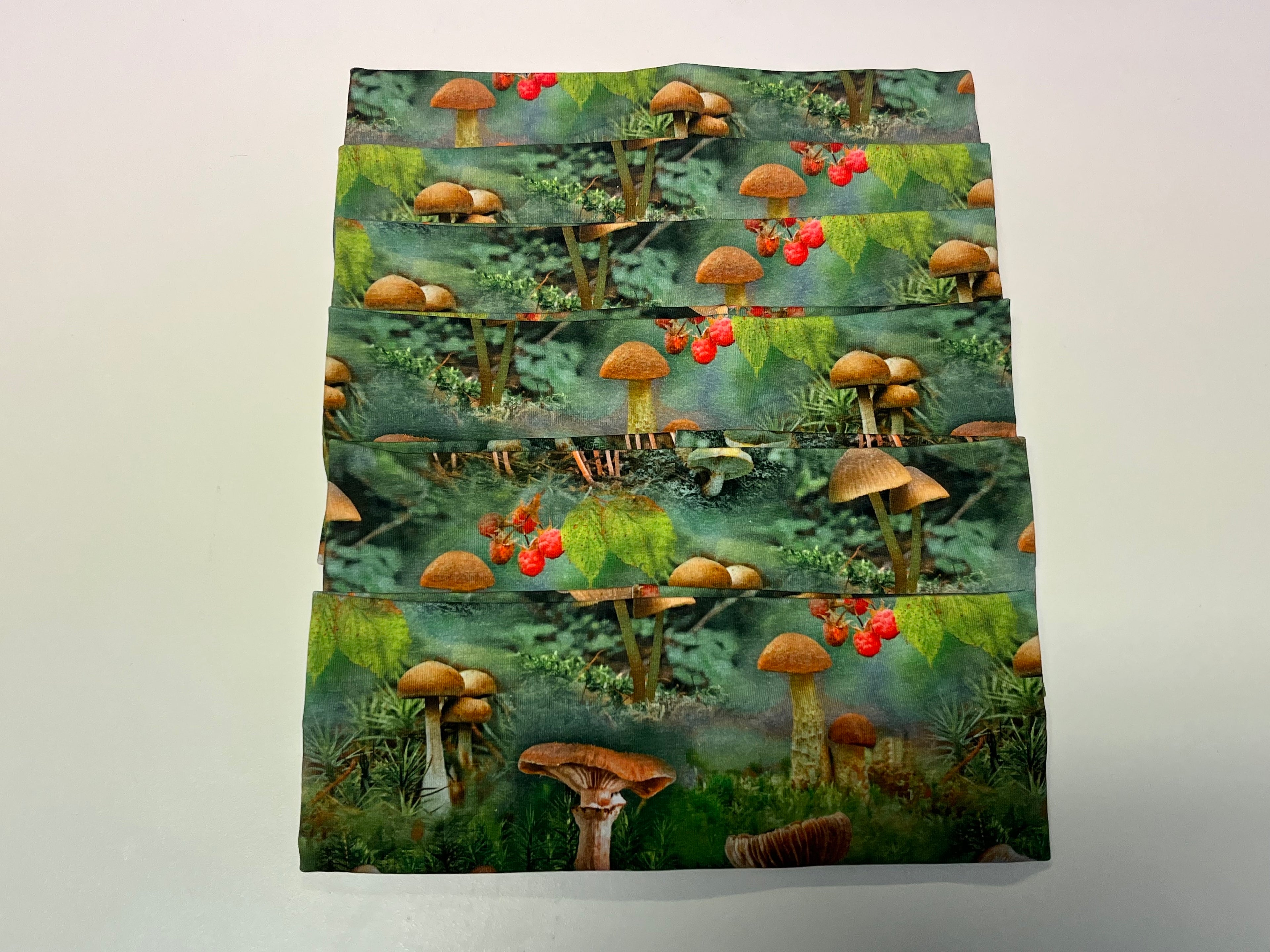 Pannebånd voksen, sopp